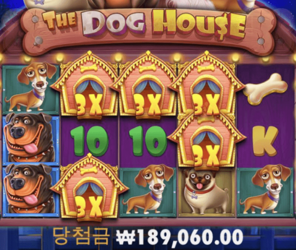 개집 잘 터져주네(0)